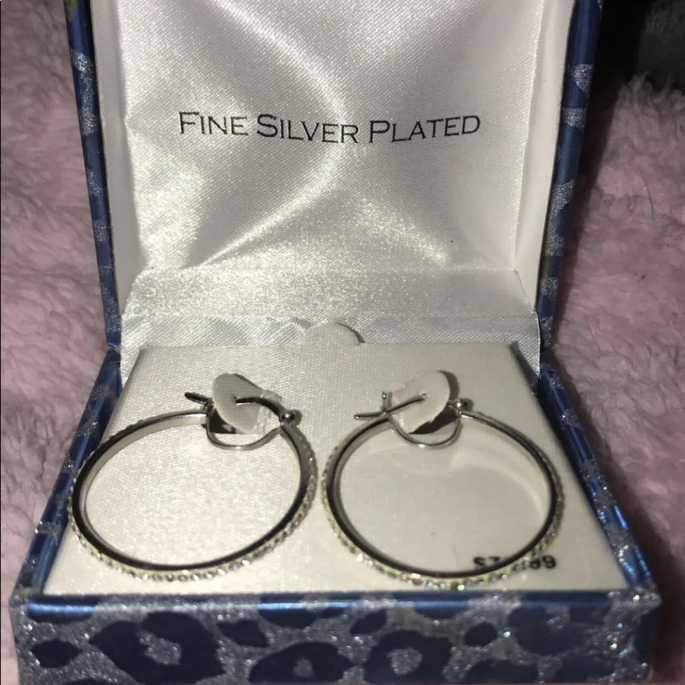 Sliver plated earrings never worn